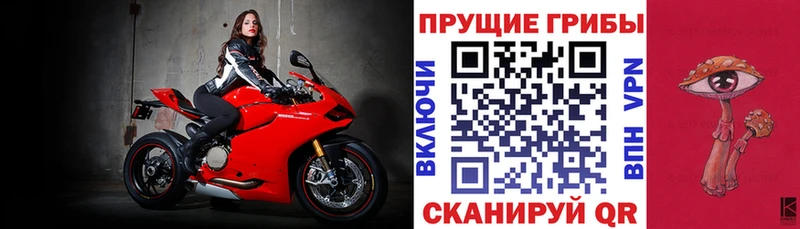 Галлюциногенные грибы Cubensis  Кандалакша 