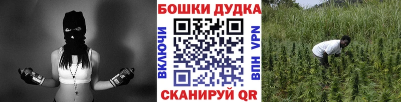 МАРИХУАНА индика Кандалакша